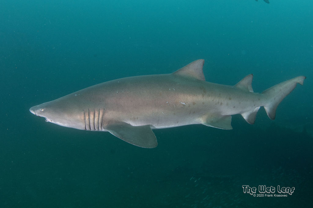 85e78836-3b3a-4f9c-8fa2-444234f6465f