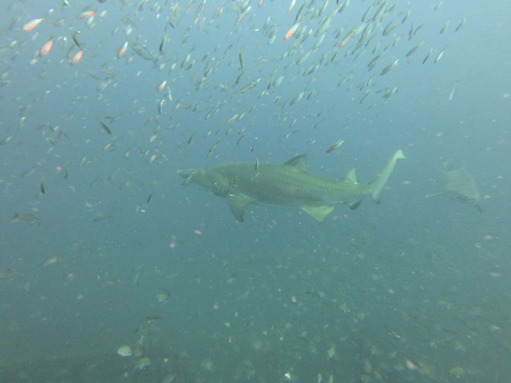 6f447d49-2b4c-471c-8af9-84a817d2e16d