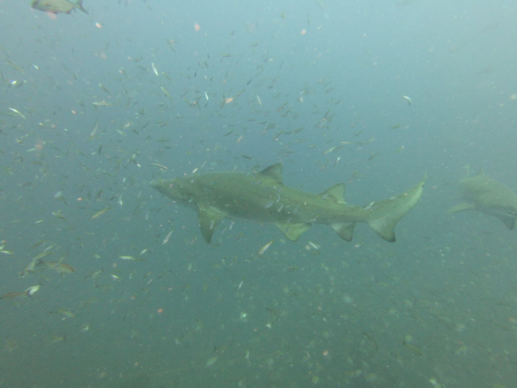 6f447d49-2b4c-471c-8af9-84a817d2e16d