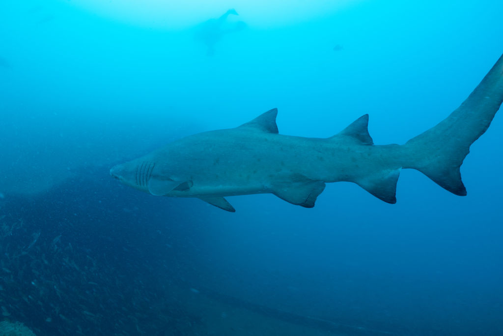 1dfe02fb-c29b-4238-a3c8-a3df34b1aeec