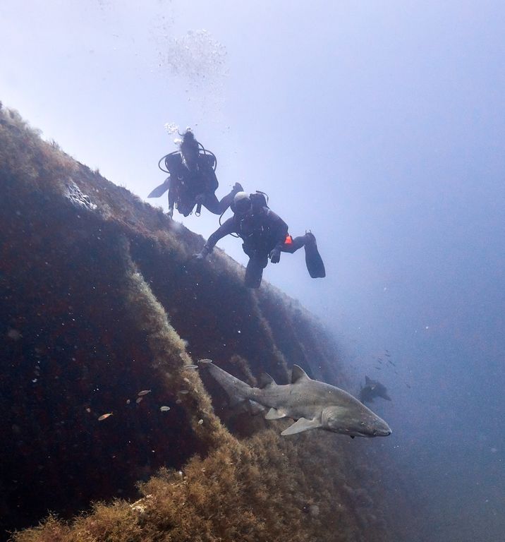 9af8e22e-3b93-4cf6-9467-d30b14fed27b