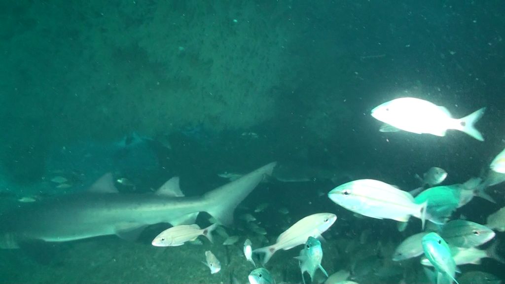 32be4f86-93cd-4b16-9227-f3760f5d6cee