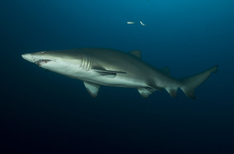 ab7a94d3-c5b6-4f67-821f-0ab70e5709ea