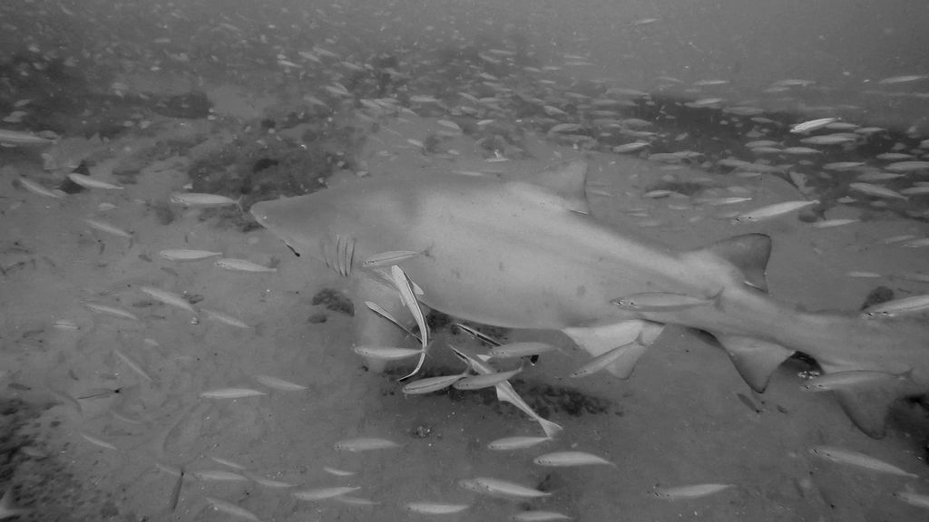 e912b36f-6781-44f5-b4cf-27cf4ee5e80e