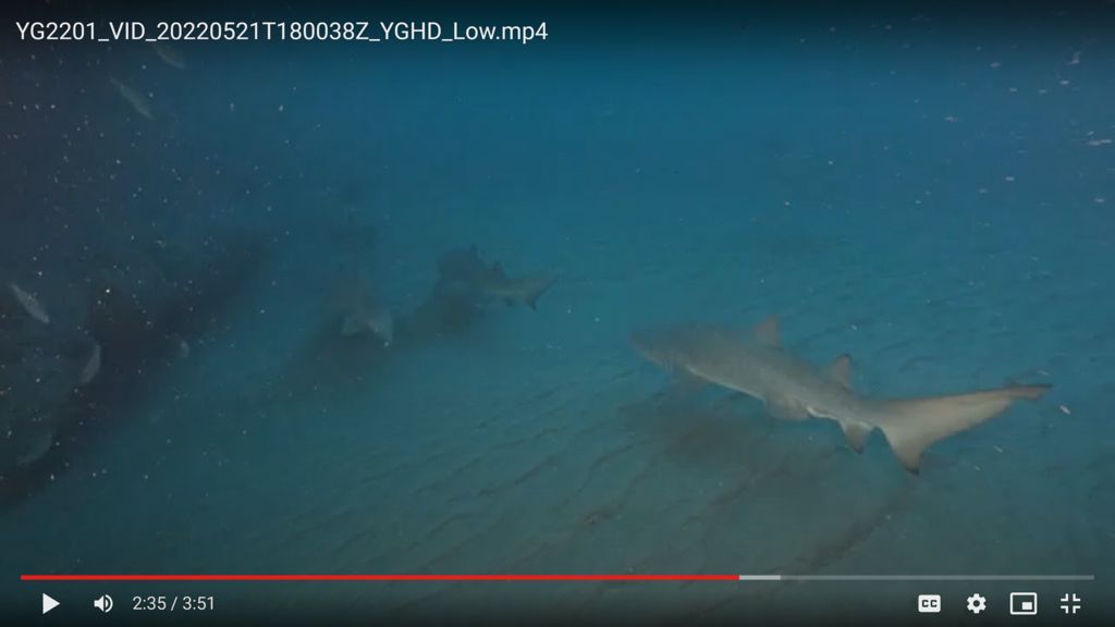 f1389fea-e080-4393-8920-afdefb592c87