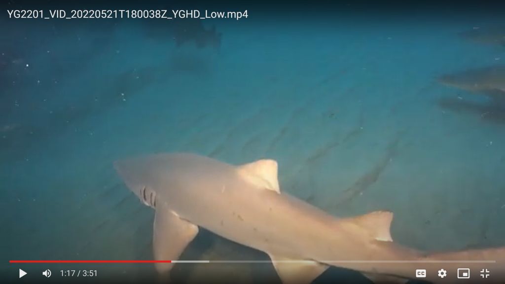 067d49ba-cbee-4d80-9e81-24dc8c846b64