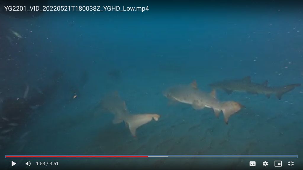 067d49ba-cbee-4d80-9e81-24dc8c846b64