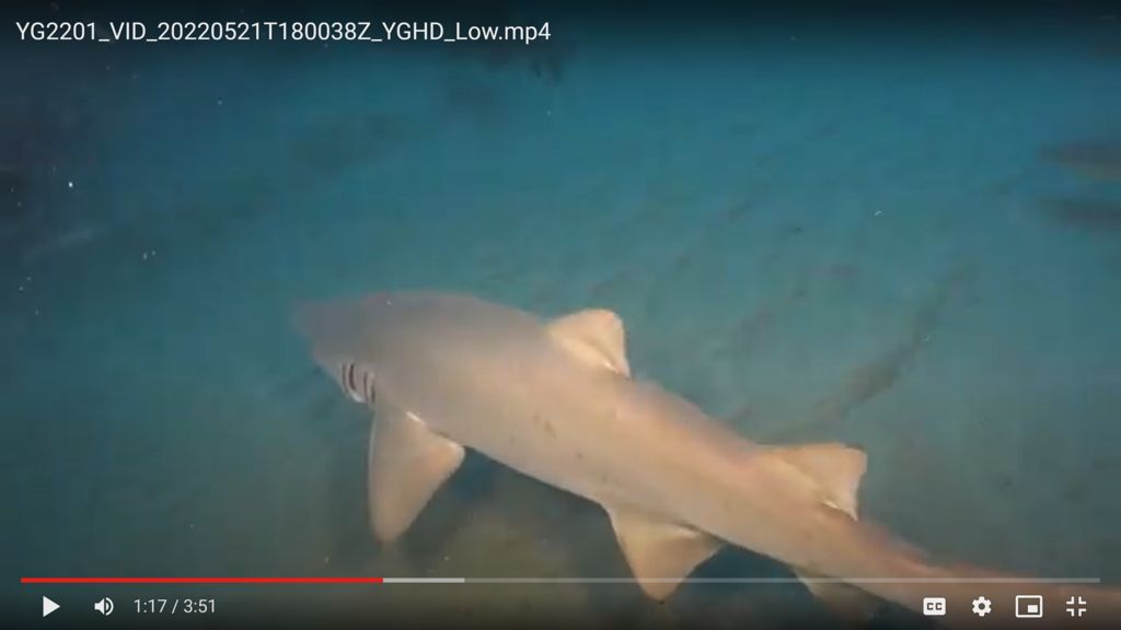 067d49ba-cbee-4d80-9e81-24dc8c846b64