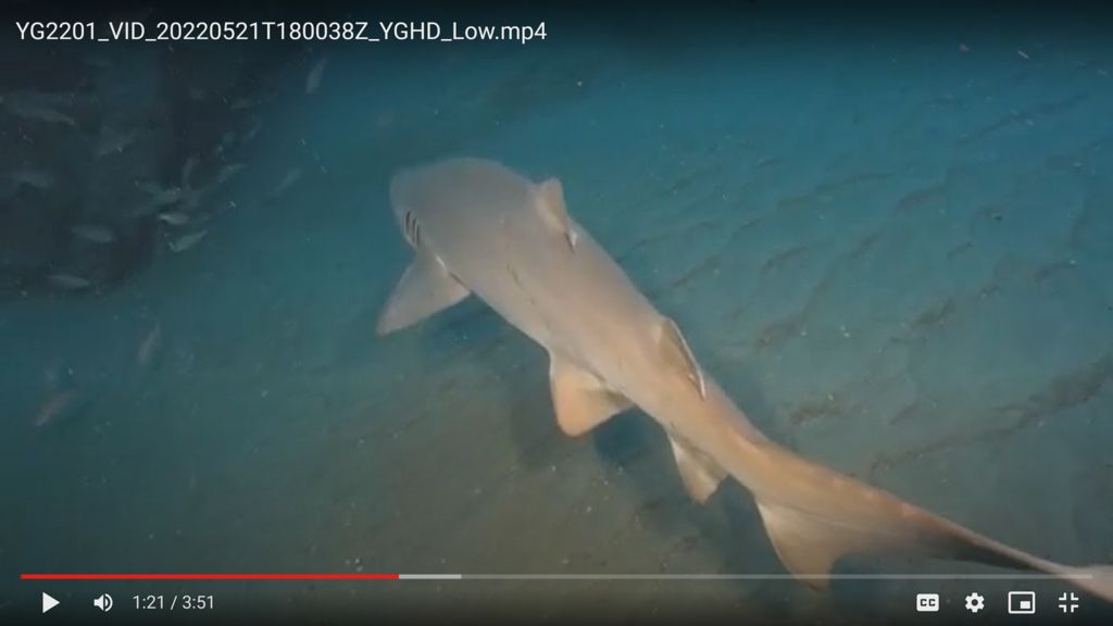 067d49ba-cbee-4d80-9e81-24dc8c846b64