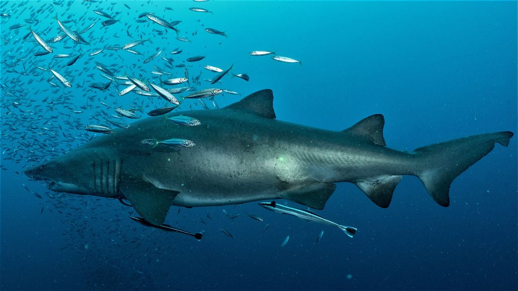 f3fbda0e-27e5-420b-8af8-e7adbac8c942