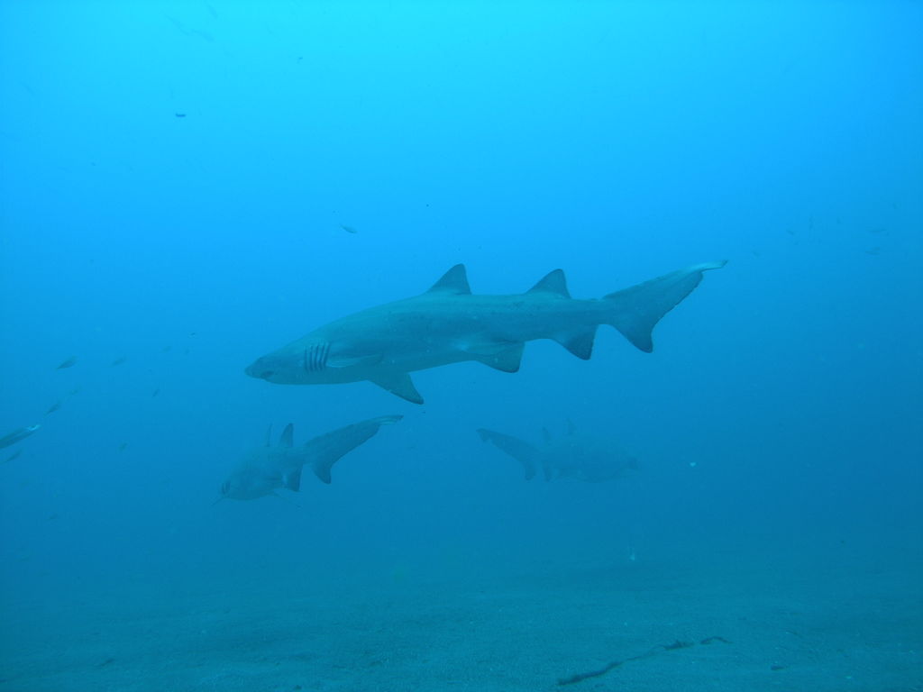 aa0ae5f2-f57e-4b56-a50b-777e9d6f5caf