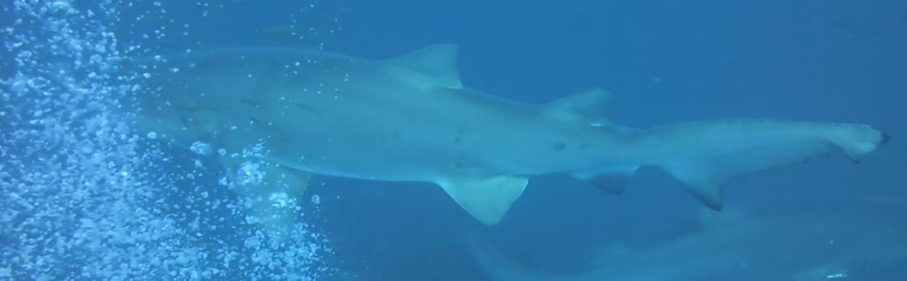 75a4d066-dcfa-4bed-b446-455956d89764