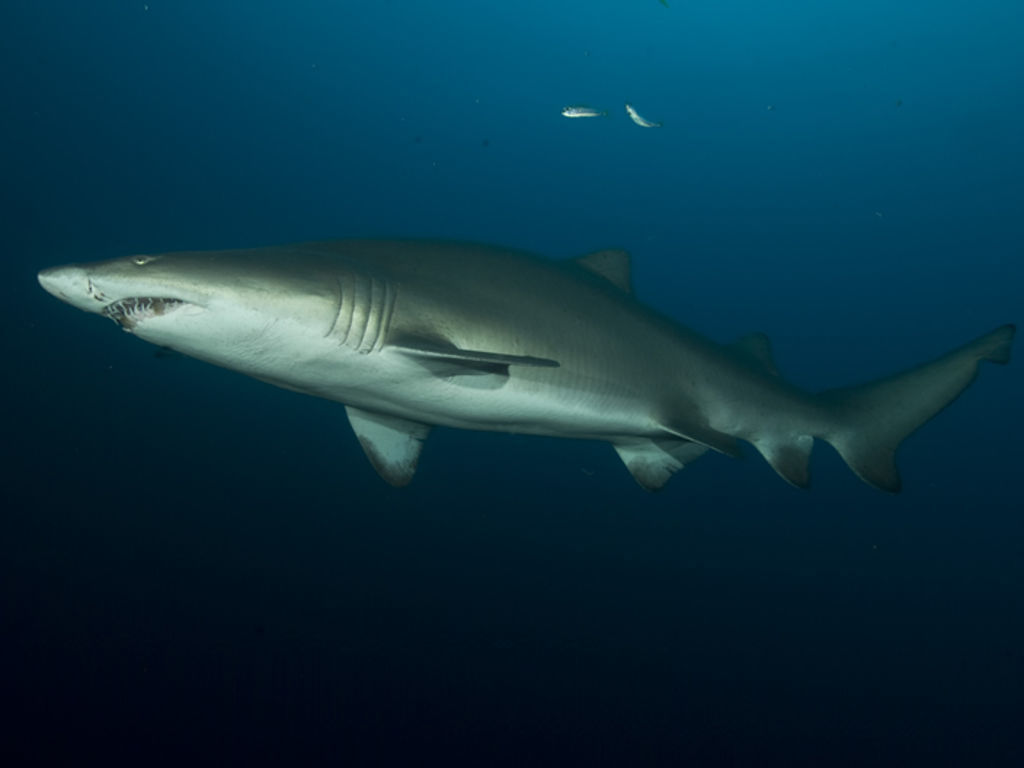 86c08a52-2f42-4cc2-b2c6-7980c94cfcd6