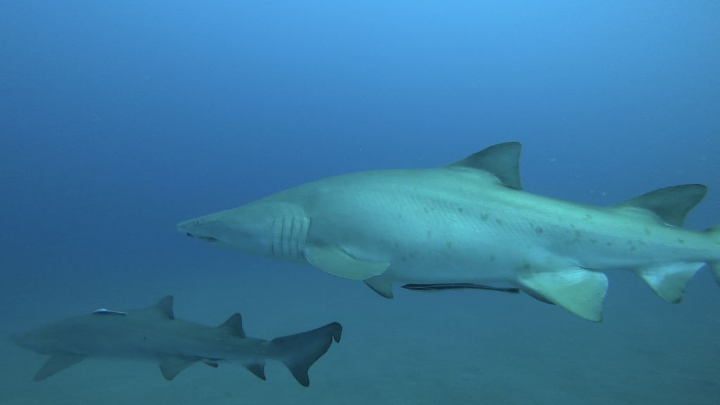 ba50b69f-2c5d-42d7-8fc0-78c485fb628b