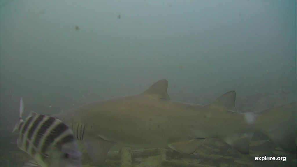 cdbe97f1-b539-4f61-80b2-9ac42fdd78ca