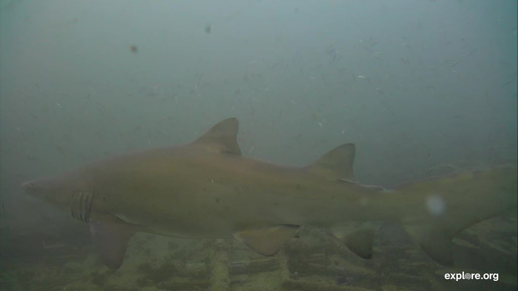 cdbe97f1-b539-4f61-80b2-9ac42fdd78ca