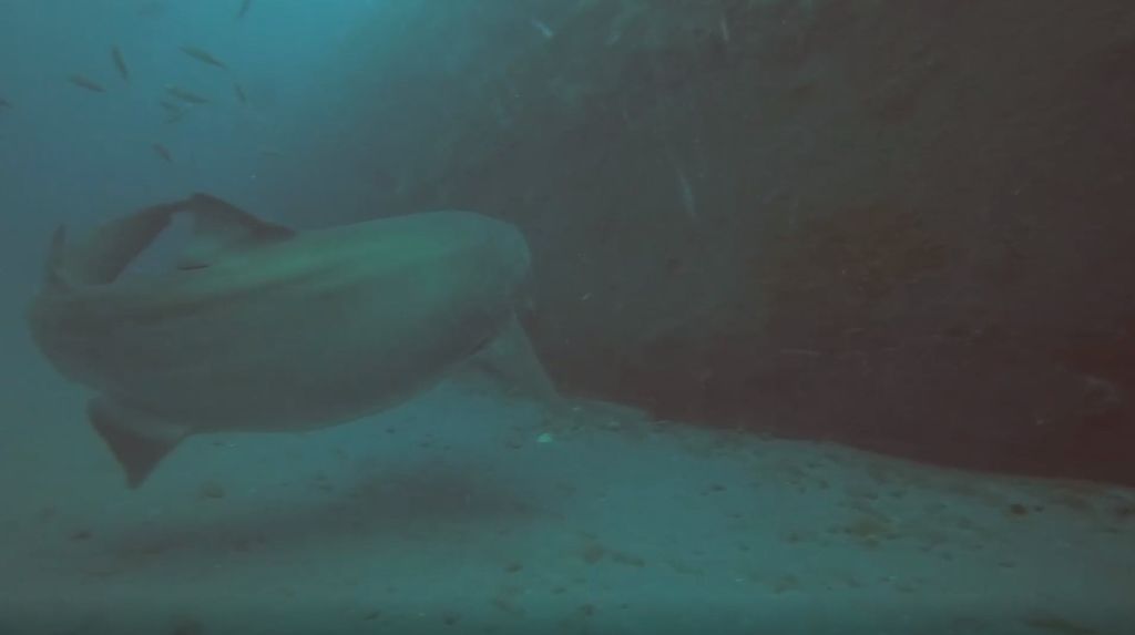 536ddd5f-9326-4057-907b-847f87cdb10b