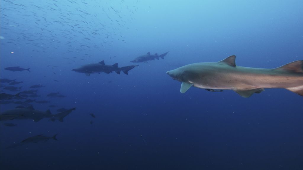 c671ef5f-8846-47e3-9ea2-c46a3e34d78a