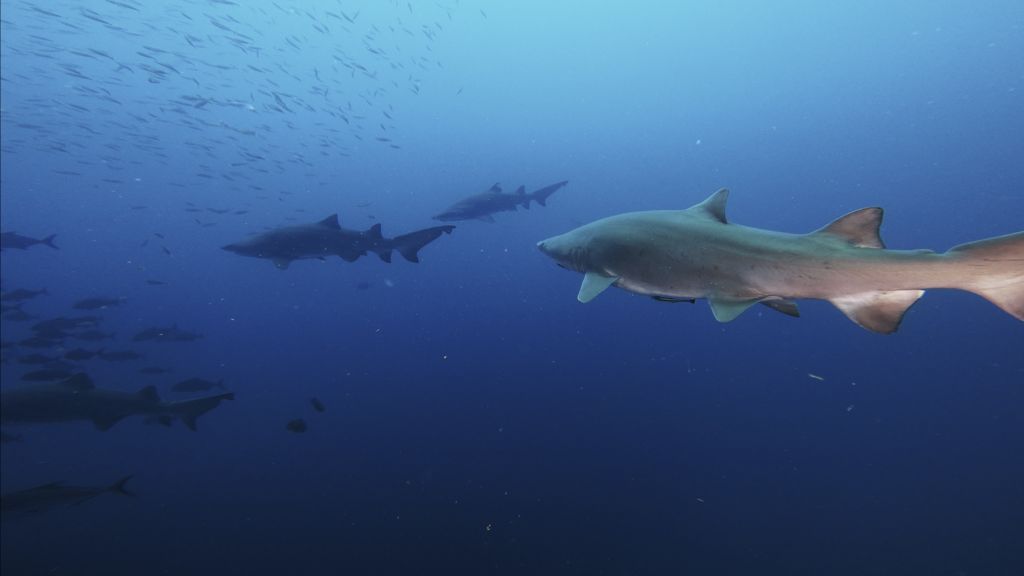 c671ef5f-8846-47e3-9ea2-c46a3e34d78a