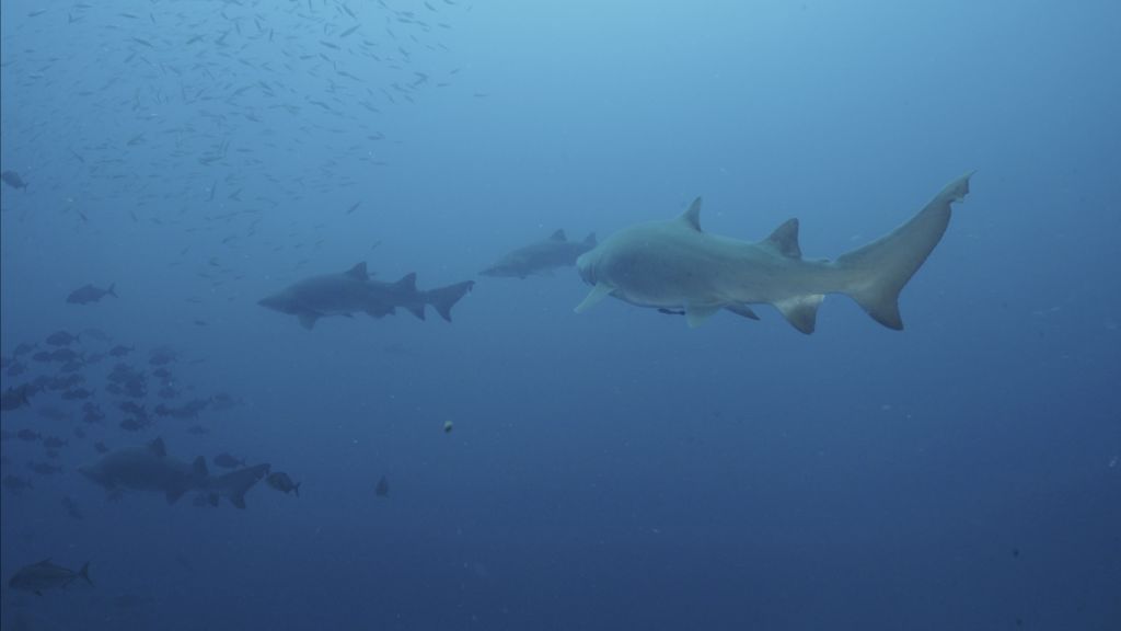 c671ef5f-8846-47e3-9ea2-c46a3e34d78a