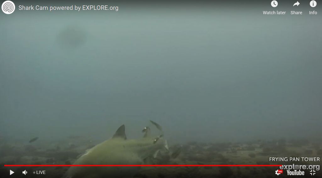 4266425c-55aa-437a-990b-5874be5cb8be