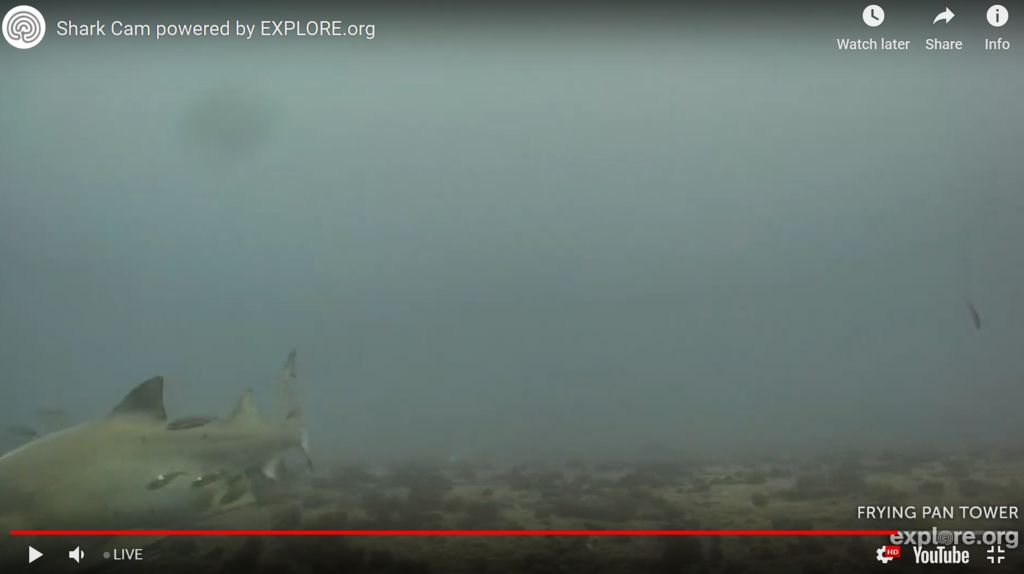 4266425c-55aa-437a-990b-5874be5cb8be