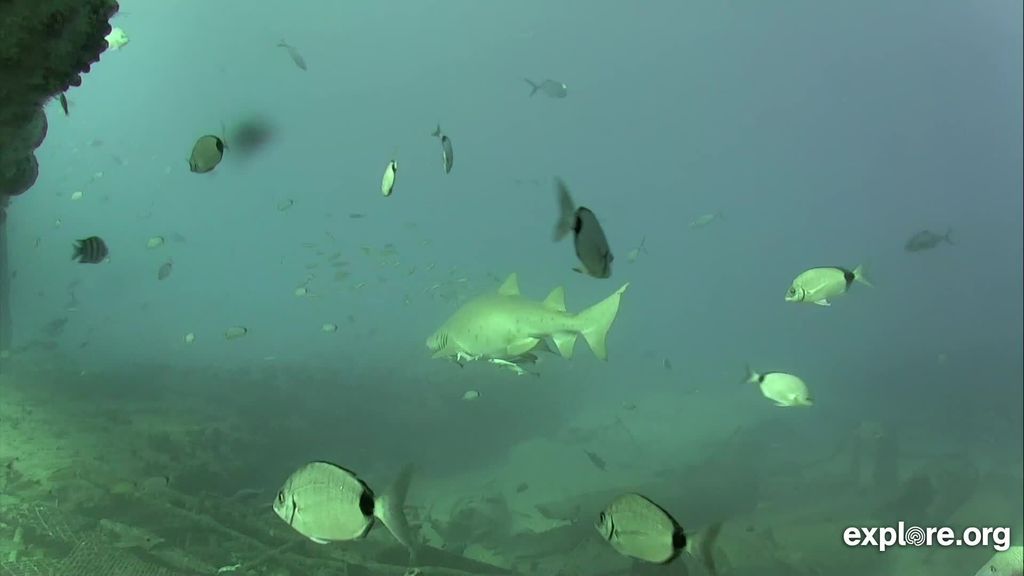 4105e306-b31f-4772-ad10-ba949726f565