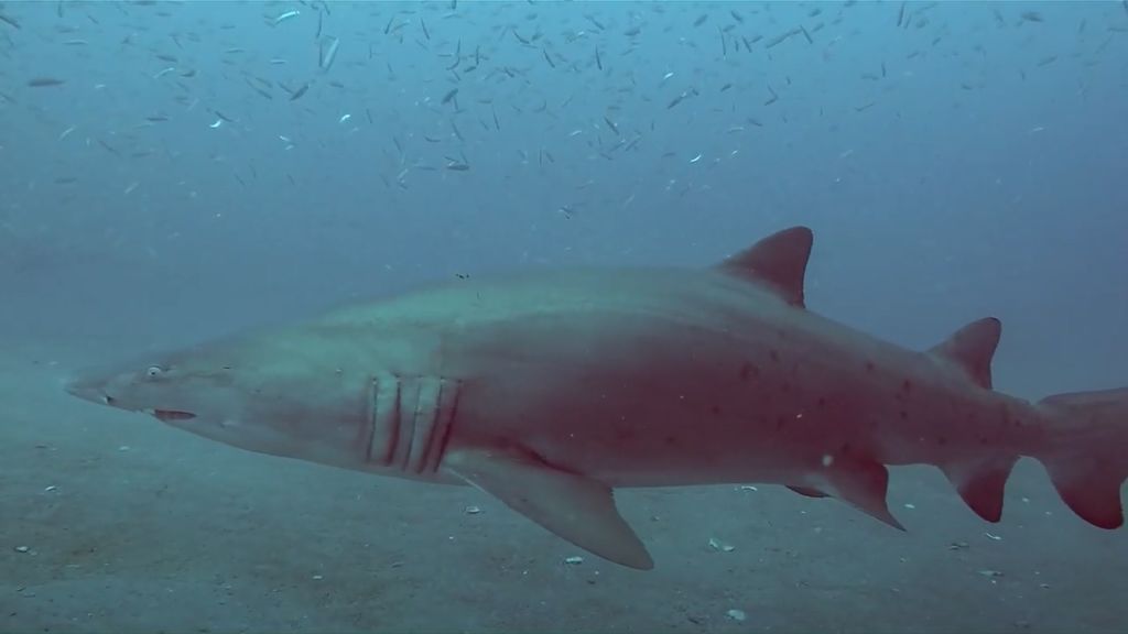 64e56b03-e6a0-4b36-91d1-5221e427baee