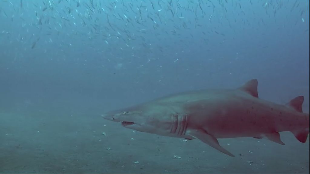 64e56b03-e6a0-4b36-91d1-5221e427baee