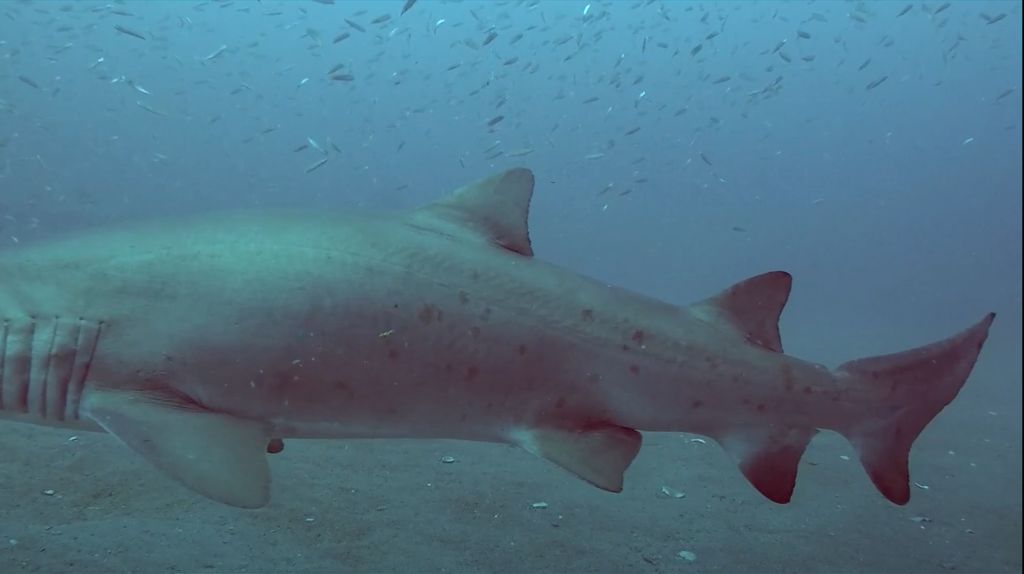 64e56b03-e6a0-4b36-91d1-5221e427baee