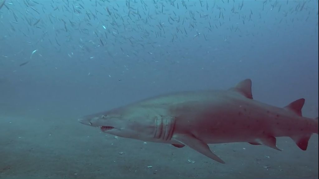 64e56b03-e6a0-4b36-91d1-5221e427baee