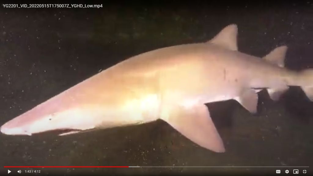 16a0f6eb-5064-49b5-b0df-f2400ed3c348