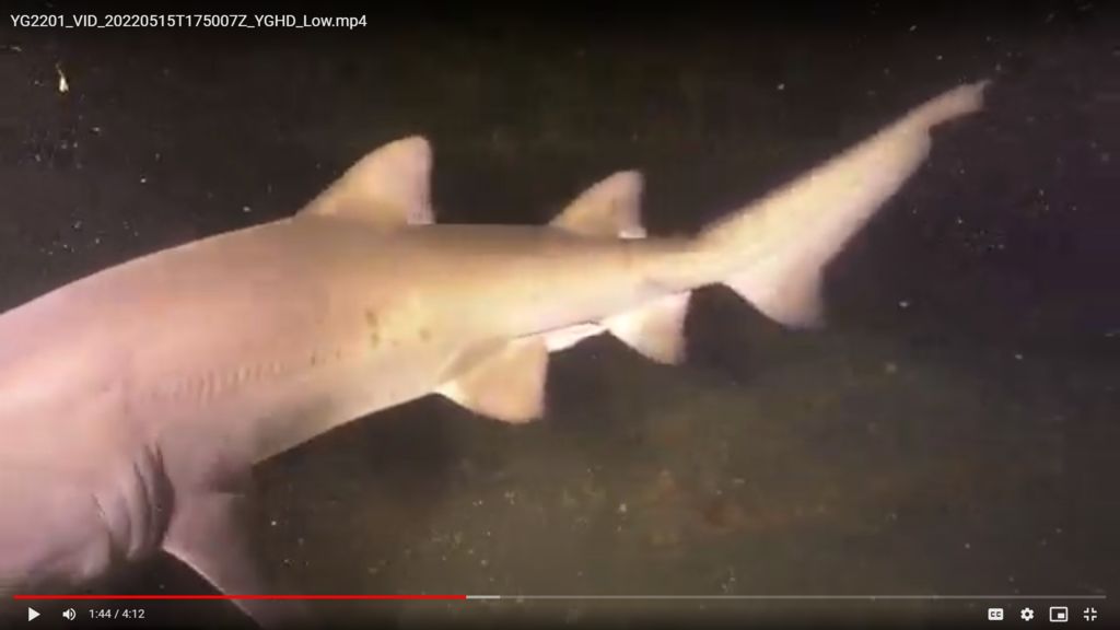 16a0f6eb-5064-49b5-b0df-f2400ed3c348