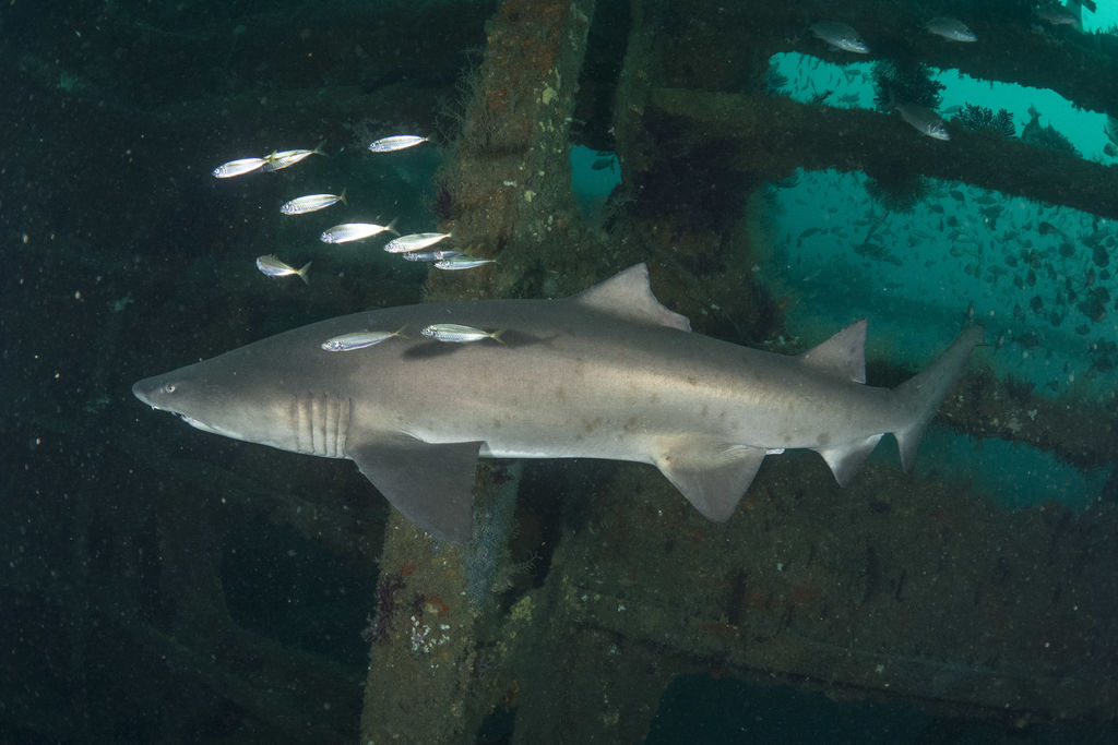 8dd20976-cb57-4db6-978a-590ddb9e1c8d