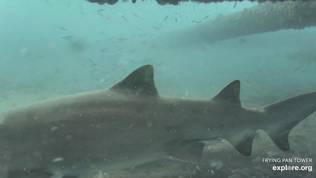 89a96681-006e-4215-b353-8945cee86256