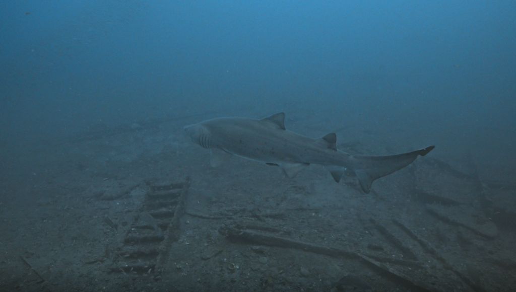 440866df-c615-4f46-9a00-440e1594da73