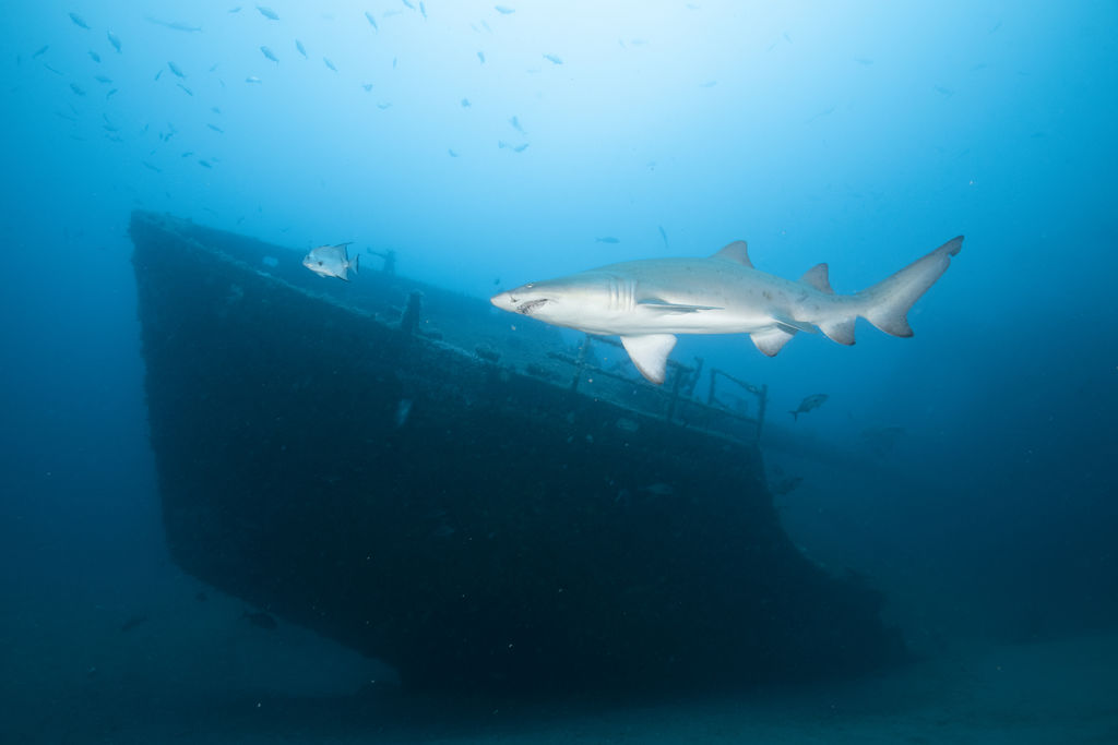 03b3eea8-6651-43fd-b228-a7961b814d02