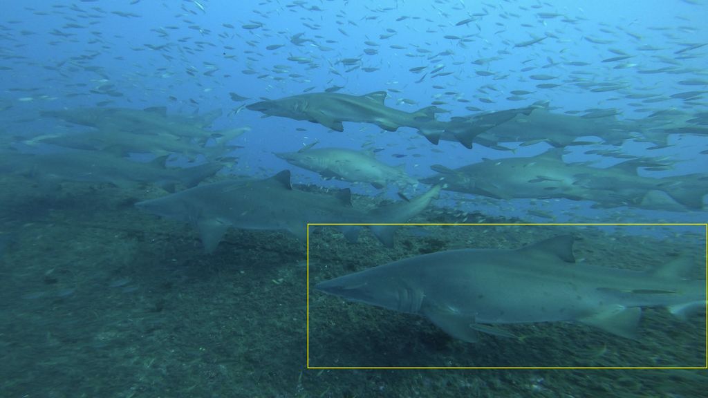 18b7add6-cbae-438c-8974-1a3190175120