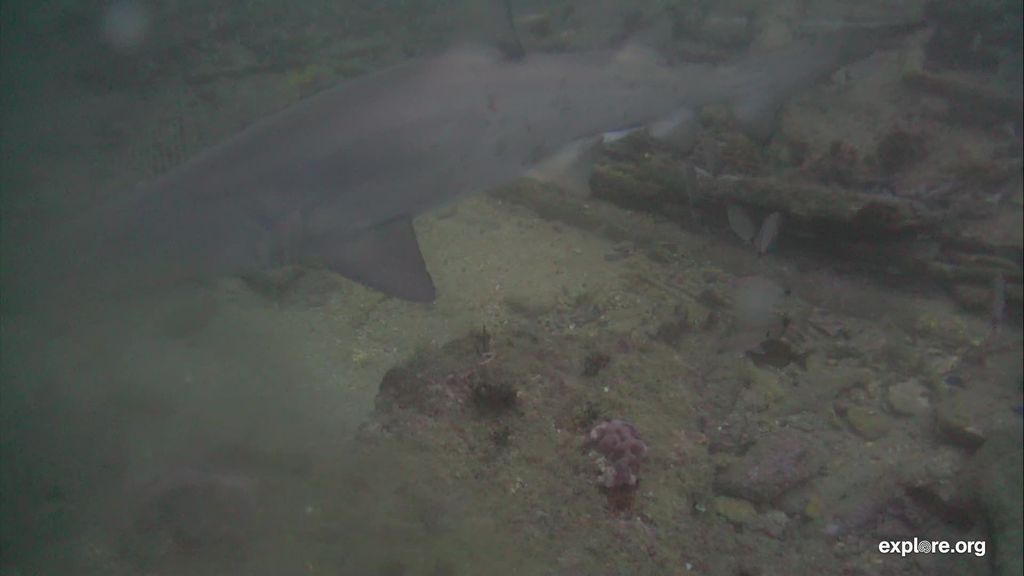 fc10c113-5daf-47e0-878d-360fde610977