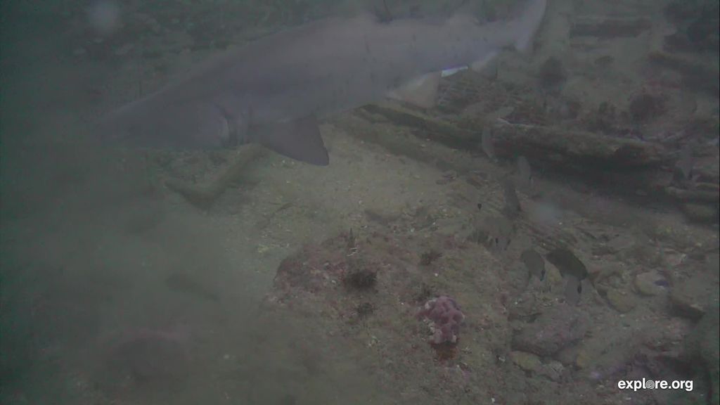 fc10c113-5daf-47e0-878d-360fde610977