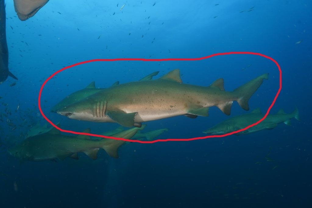 58194202-f662-4ff8-89e6-6b45200c75b9