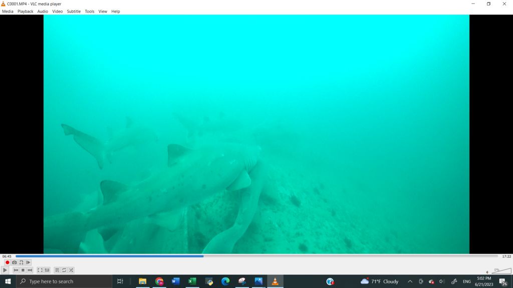 930148d5-7b3a-4090-ac44-c2b45f53eed9