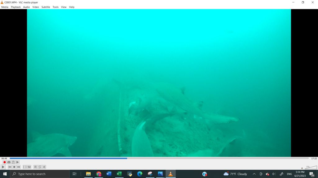 930148d5-7b3a-4090-ac44-c2b45f53eed9