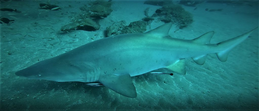 e30d9256-c4db-4a10-82a9-25a5fa50da48