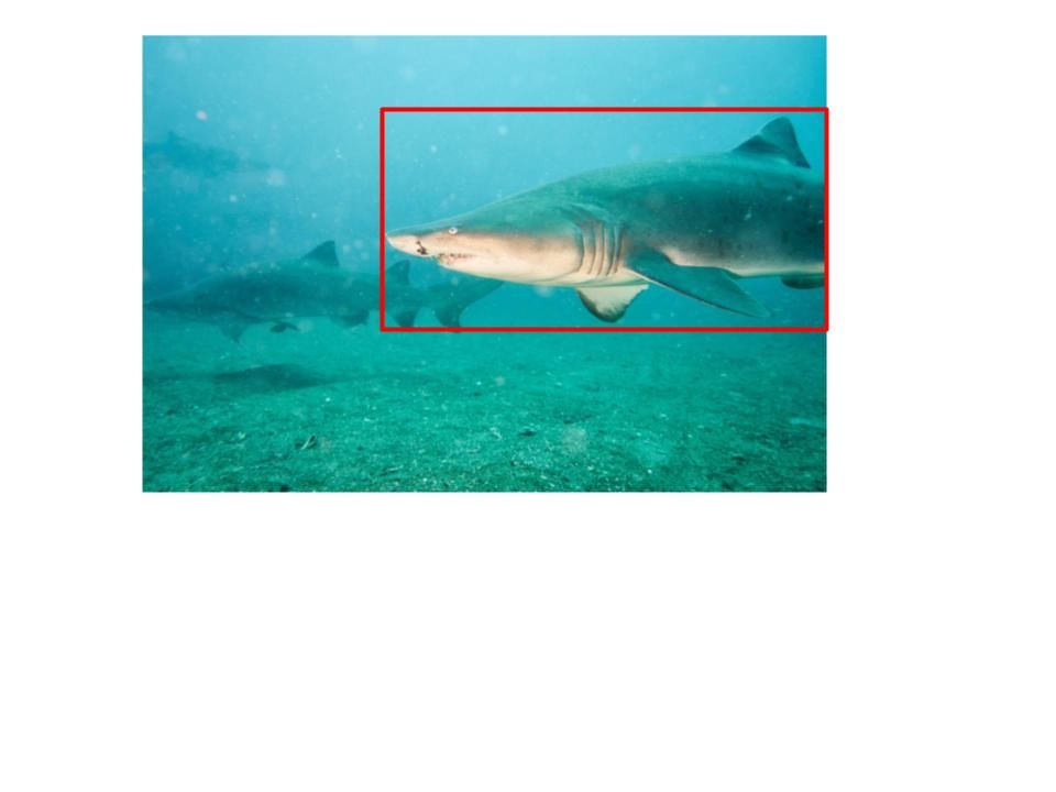 4a5e62f5-168c-4280-96f9-e00f33a24df2