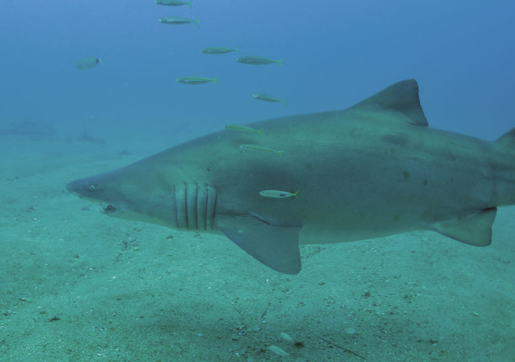 5cb15cd6-67d7-4580-94d5-93af68df470e