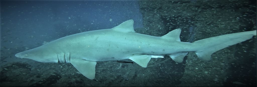 7d12acb2-358f-47a6-ac4c-273a61a9e5fc