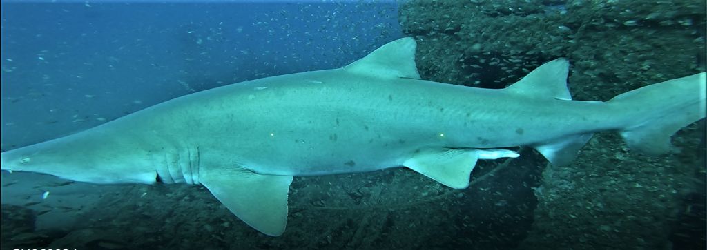 7d12acb2-358f-47a6-ac4c-273a61a9e5fc