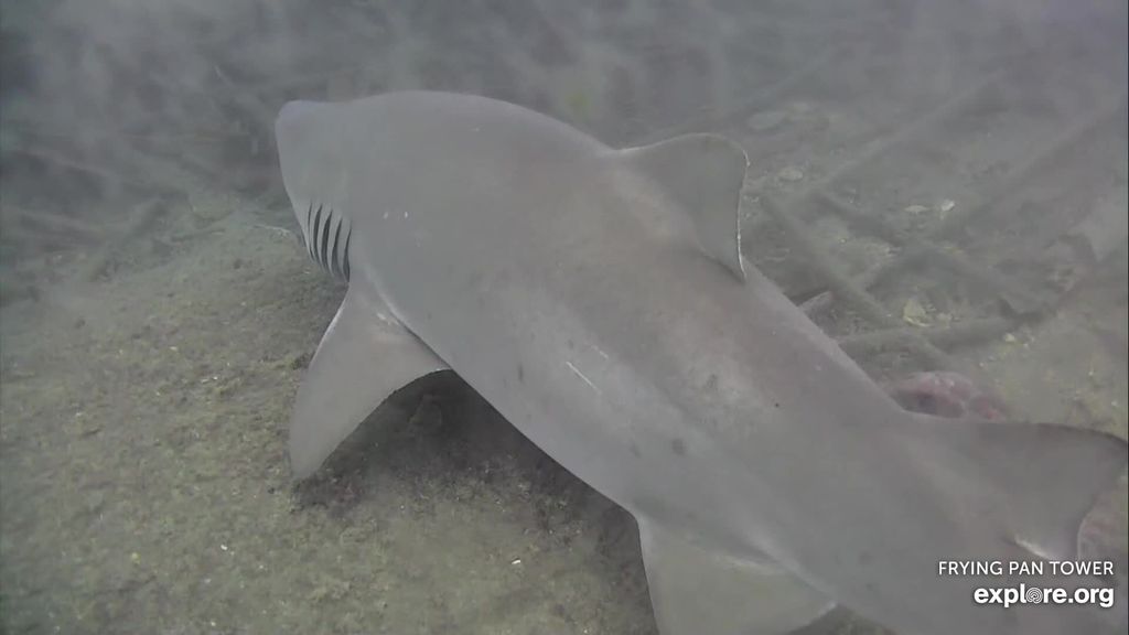 ff3934fe-893a-480e-98a0-1c6e4fa1b6f5