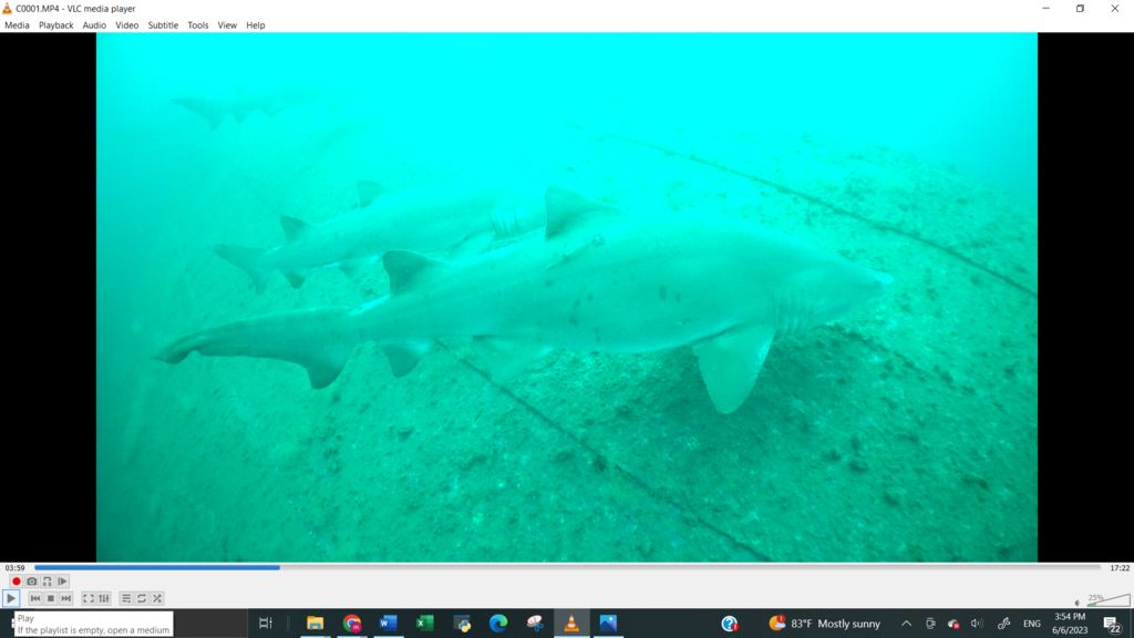 4bb7e9b4-7aa0-4bc3-8cfe-e6e8a897e21c